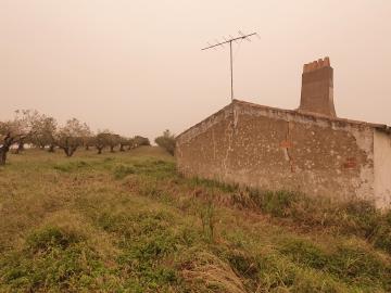CAPPORTUGAL - 54 000€ - À vendre Terrain à Estrela - Portugal - Terres agricoles - Culture de Oliviers, figuiers - Ferme et dépendances agricoles